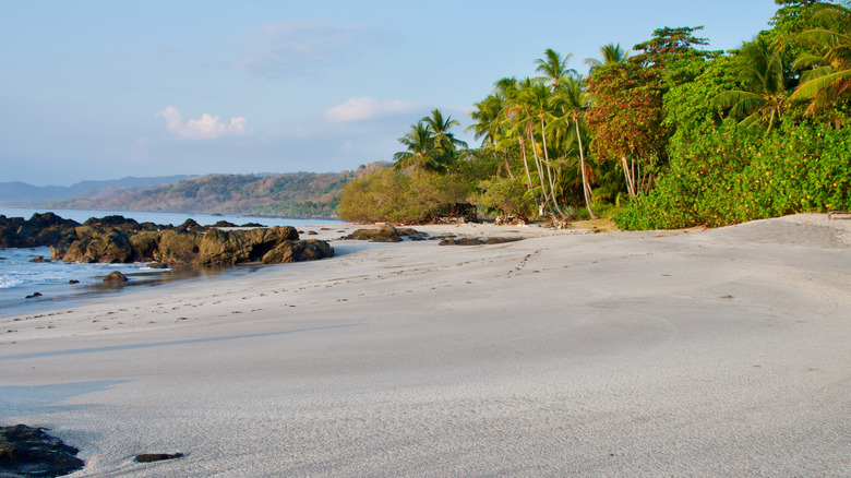Montezuma Beach in Costa Rica
