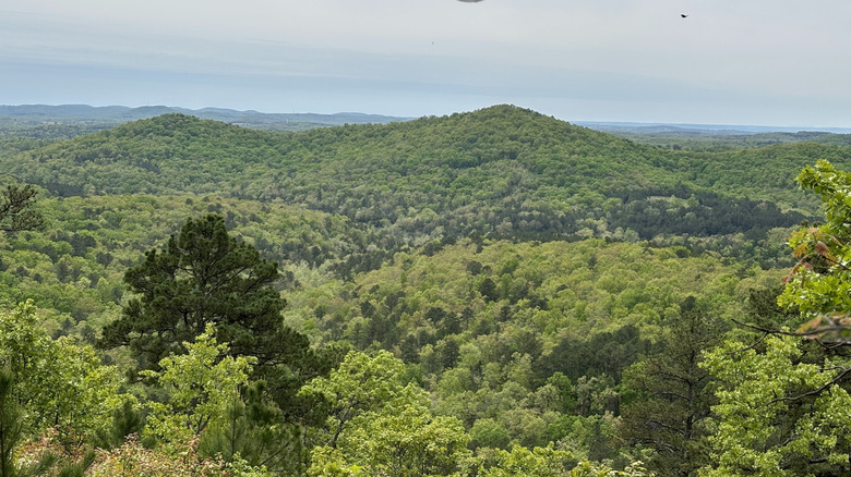 expansive view across green trees and hills in Caney Mountain Conservation Area