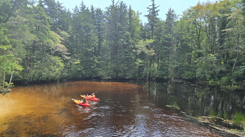 Two people in red and yellow kayaks floating on the pale brown water of Cedar Creek, surrounded by pine trees under a blue sky