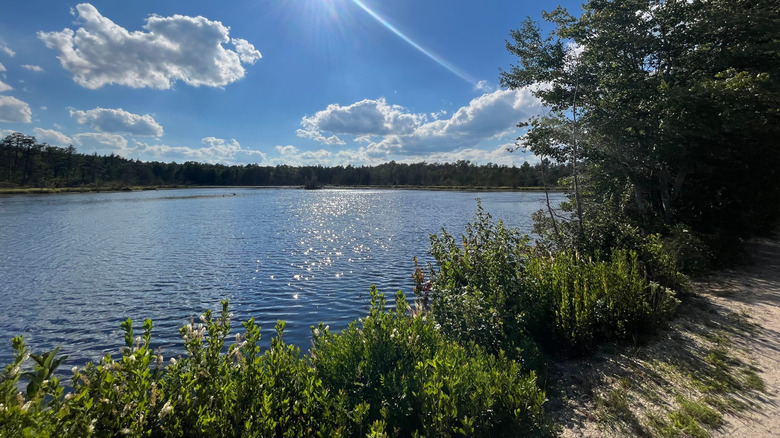 Lake at Double Trouble State Park, with a dirt path and green vegetation in the foreground, blue water in the center, and pine trees on the far shore, under a cloudy blue sky