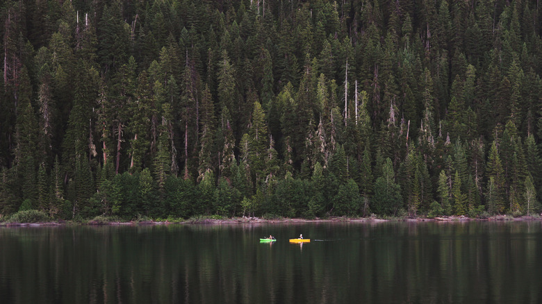 Kayakers on Kachess Lake