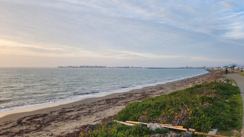 A paved trail next to a sandy beach at McLaughlin Eastshore State Park State Seashore.