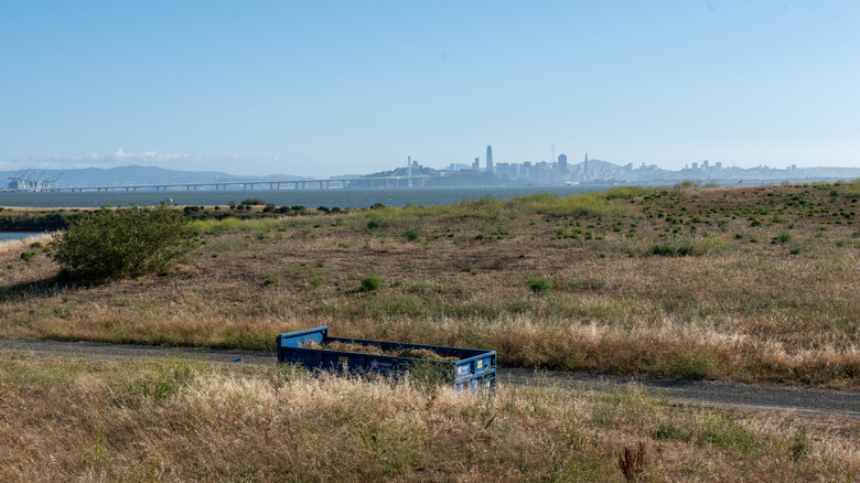 Views to the San Francisco Bay from McLaughlin Eastshore State Park State Seashore.