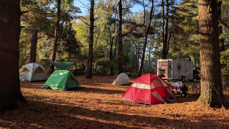 Tents placed around a campground in a wooded area in Nimisila Reservoir Metro Park