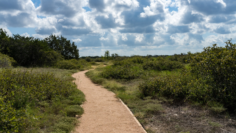 A gravel walking path in Balcones Canyonland NWR