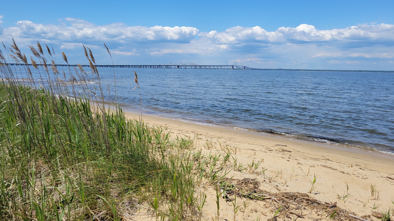 The view of the Chesapeake Bay Bridge from Terrapin Nature Park in Stevensville on Kent Island, Maryland