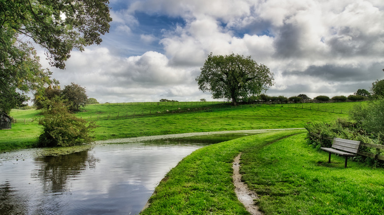 A bench, towpath, and farmers' fields along a canal in Carnforth, Lancashire