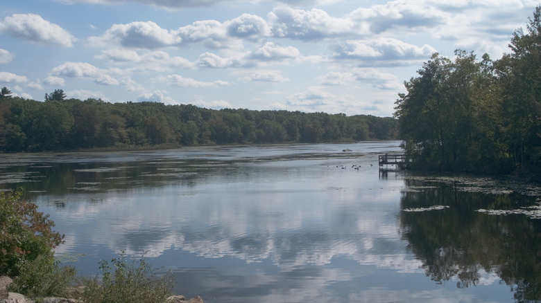 Clouds reflecting off the water in Pond Meadow Park