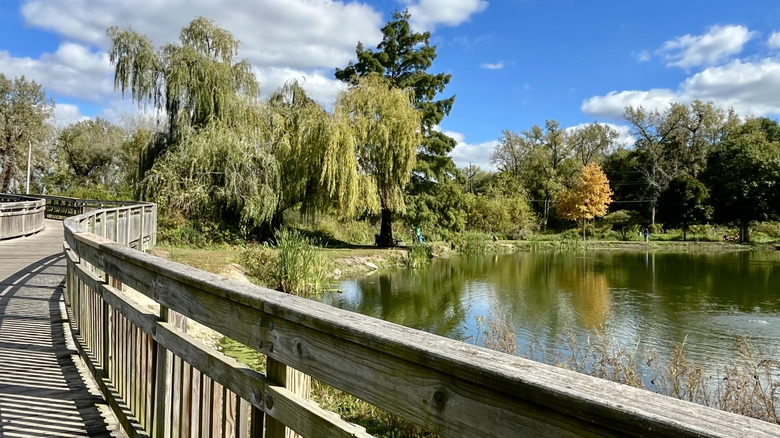 Wooden walkway by a pond in Hidden Oaks Preserve in Illinois
