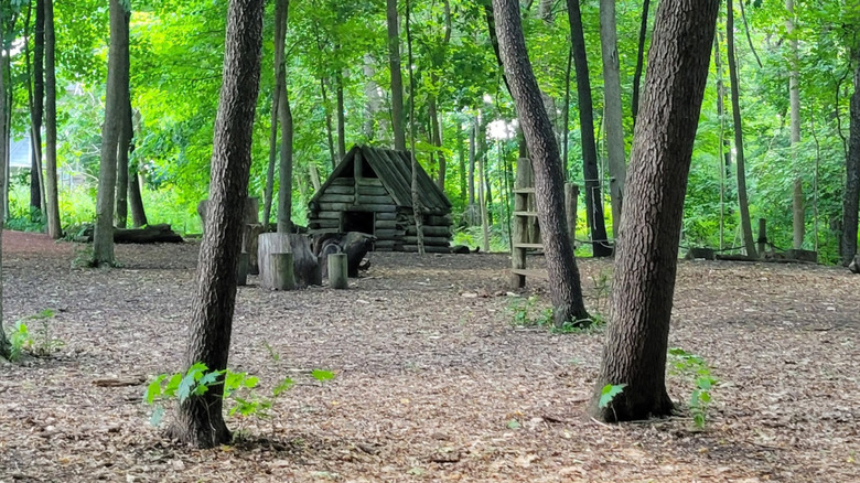Wooden play structures at the Hidden Oaks Preserve in Illinois