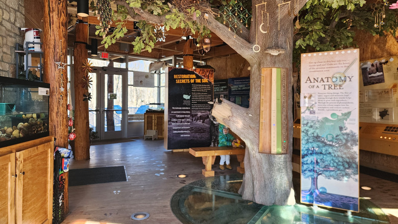 Displays inside the Hidden Oaks Nature Center in Illinois
