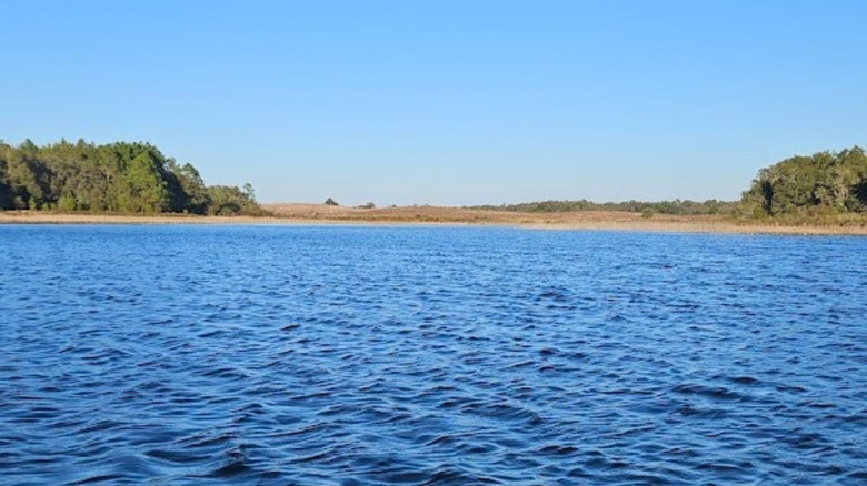 Water with trees in the background at Watermelon Pond in Florida