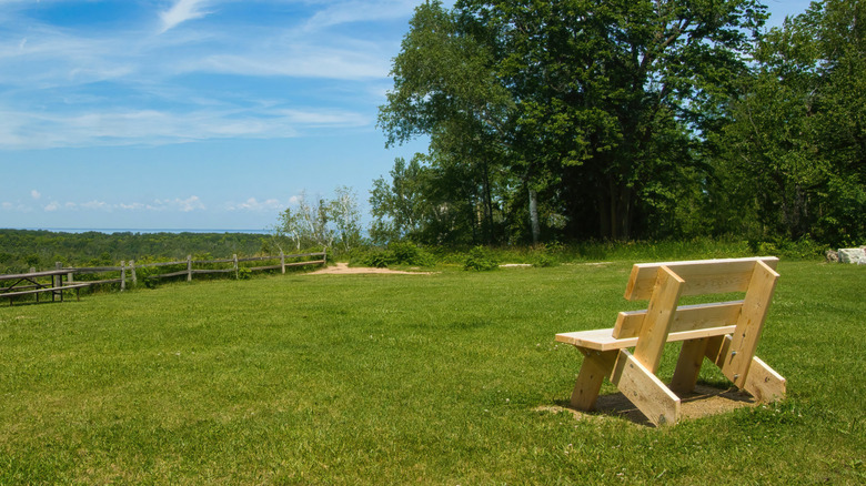 Empty bench on a grassy lawn lined with trees at Potawatomi State Park, Wisconsin