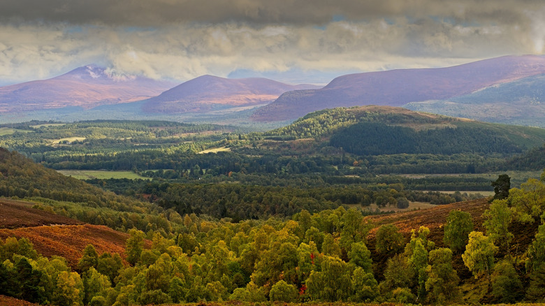 Monadhliath Mountains near the village of Carrbridge, Scotland