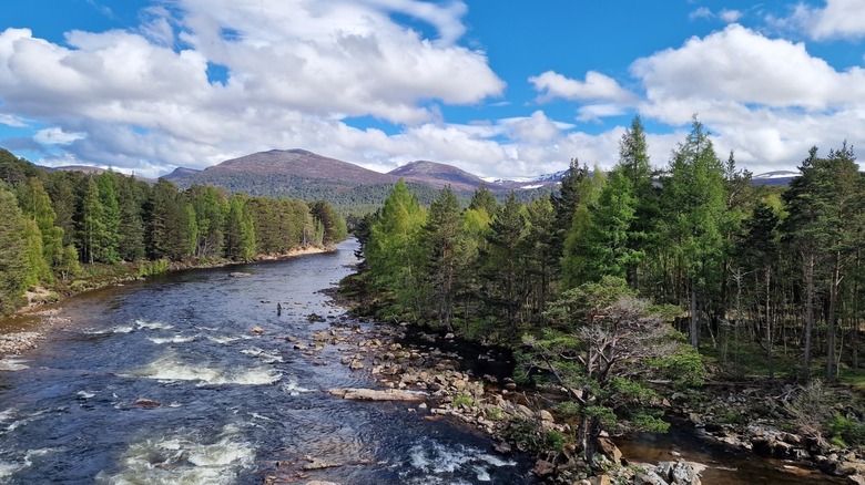A river rushing between wooded banks at Caringorms National Park