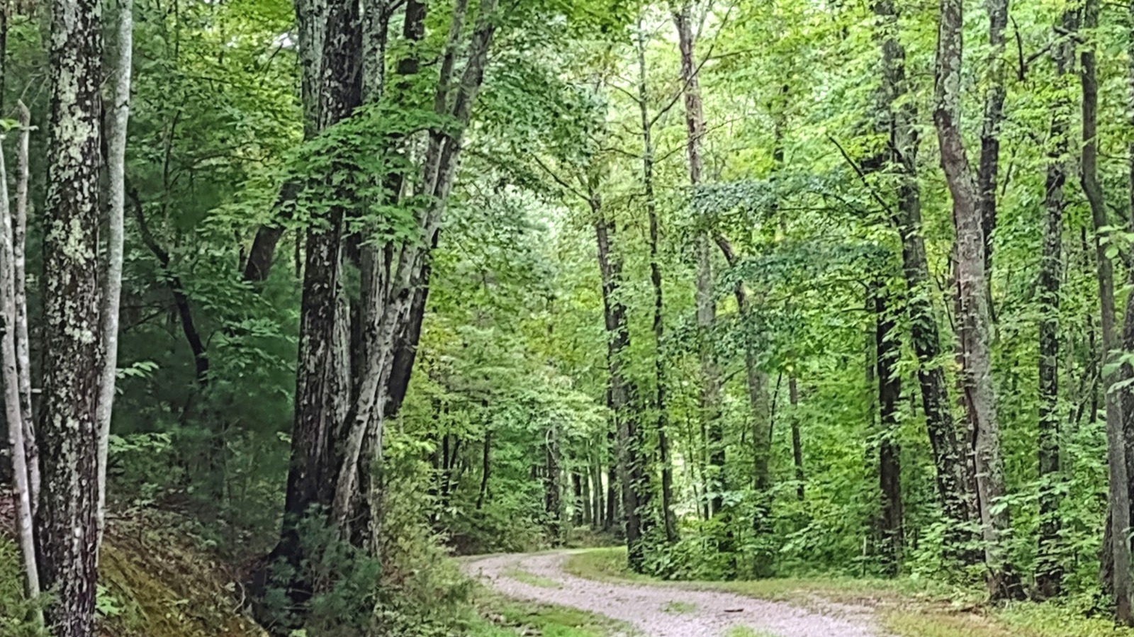 Under An Hour From Knoxville, Tennessee Is A Scenic Park With Bird-Watching And Idyllic Trails