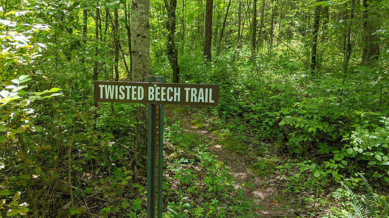 Trail sign in the woods of the Black Oak Ridge Conservation Easement, Tennessee