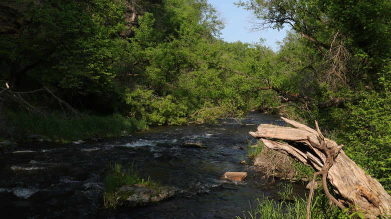 The Vermillion River at Vermillion Falls Park in Hastings, Minnesota