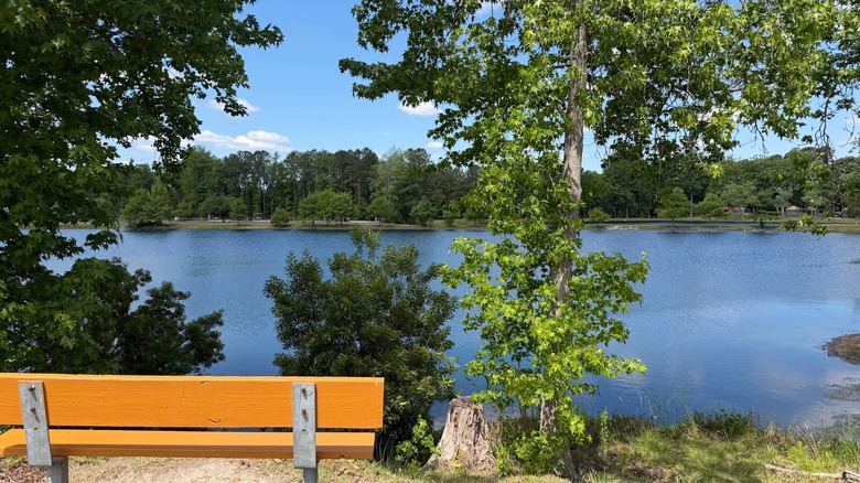 Bench overlooking pond at Jellystone Park Tabor City in North Carolina