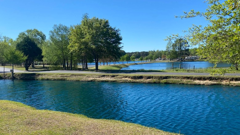 Ponds and trees at Jellystone Park Tabor City in North Carolina