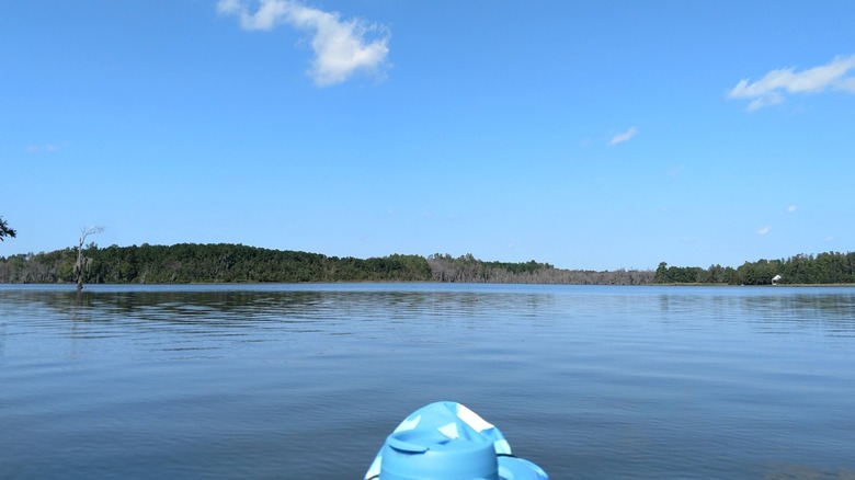 View from a boat on Lake Tabor, North Carolina