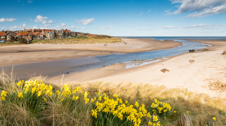 Sandy beach with grassy dunes crossed by the river estuary
