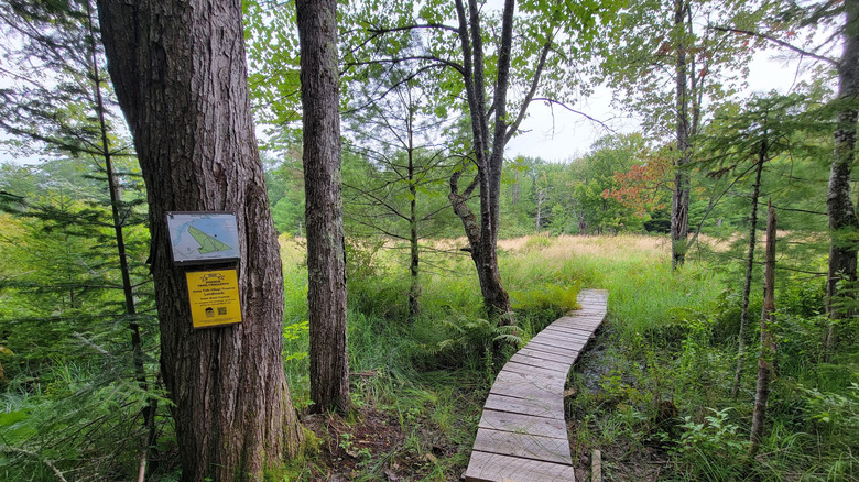 The trailhead in the Steep Falls Village Preserve adjacent to the Steep Falls Wildlife Management Area in Standish, Maine