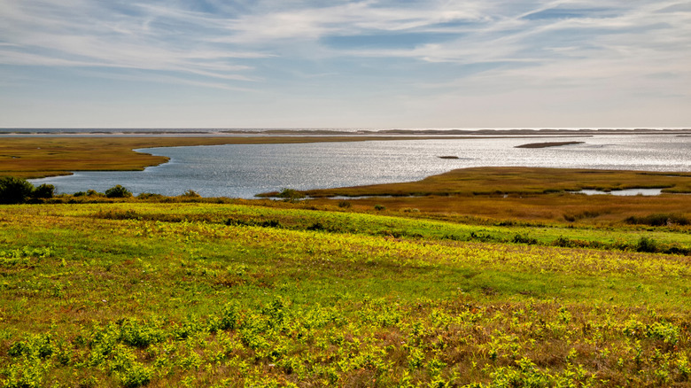 Nauset Marsh views from Fort Hill Trail in Cape Cod