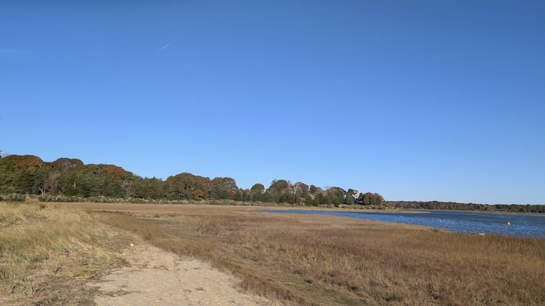 Fort Hill Trail winding along low-lying saltwater marshes