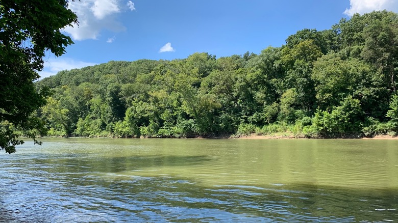 The Meramec riverfront at Robertsville State Park, Missouri, with trees lining the water