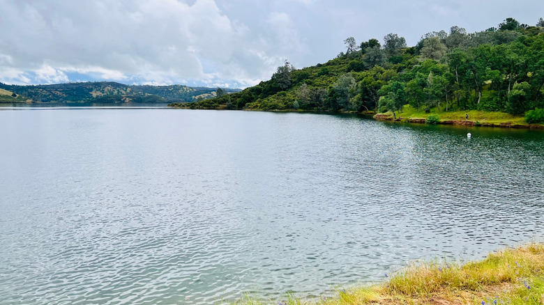 Rippling water in Pardee Lake, located under an hour from Stockton, California