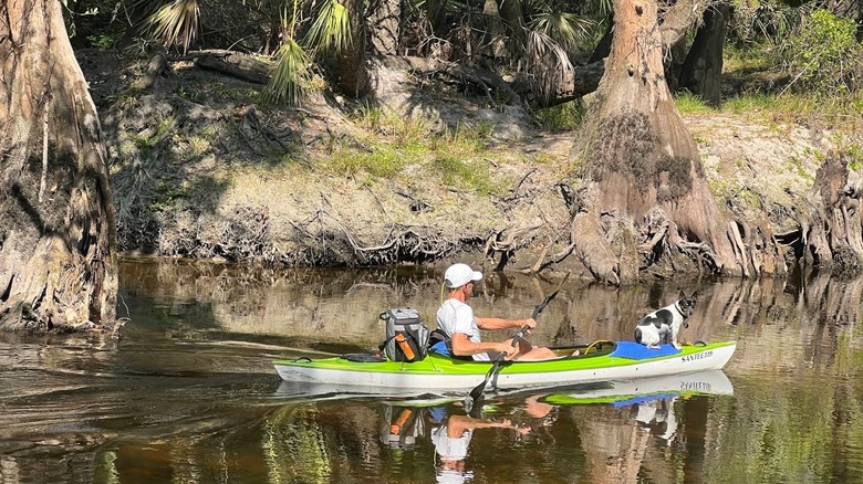 A man kayaking with his dog in Alderman's Ford Conservation Park