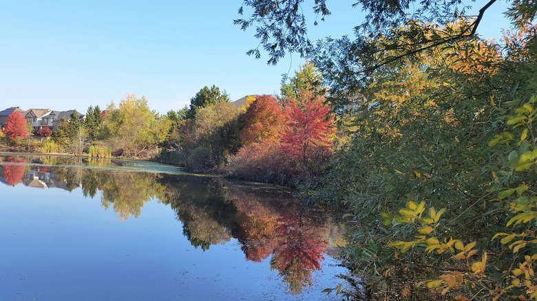 view from Aurora Arboretum, Ontario, Canada