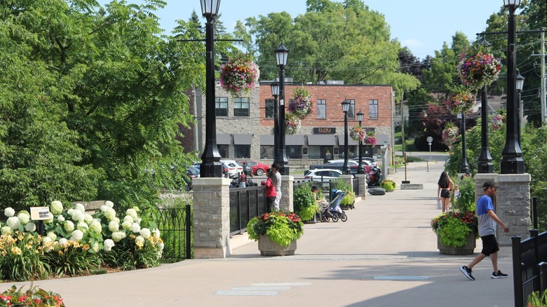 A pedestrian street surrounded by trees and flowers, with a brick building in the background