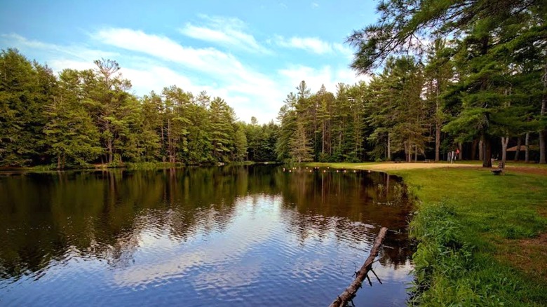 Beaman Pond surrounded by trees and greenery, Otter River State Forest, Massachusetts.