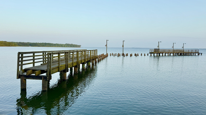 A wide view of a the large blue Jim Chapman Lake with docks in the foreground at Cooper State Park, Texas.
