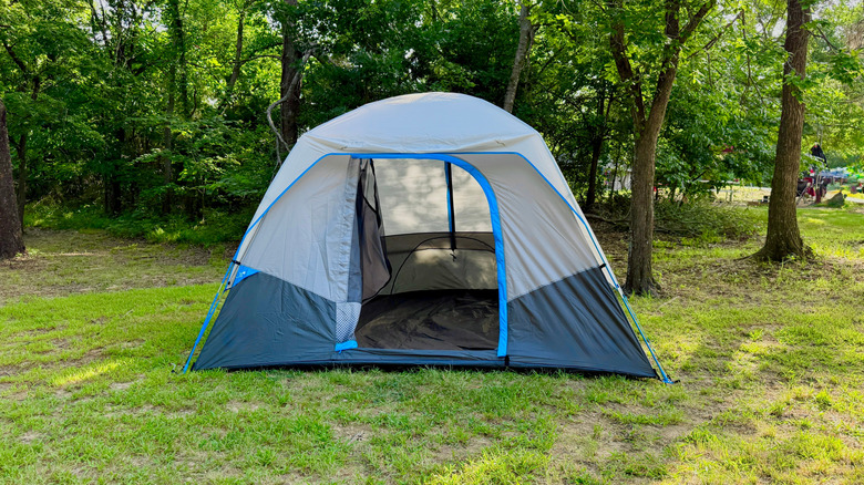 A blue and gray camping tent atop green grass in front of trees at Cooper State Park, Texas.
