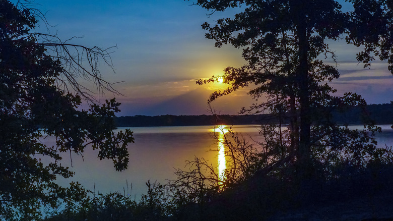 A dusky purple-blue sunset at Cooper State Park in Texas with tree silhouettes in the foreground.