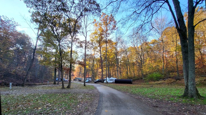 A paved pathway surrounded by trees with vehicles in background at Scioto Trail State Park, Ohio