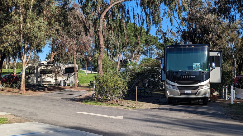 RV camping at Guajome Regional Park near Oceanside, California