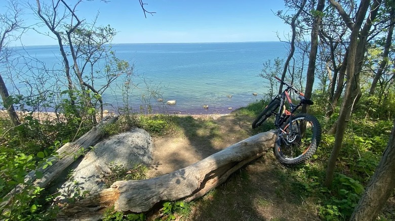 A bike leaning on a tree at the shoreline of the Long Island Sound in New York, with views of the blue waters.