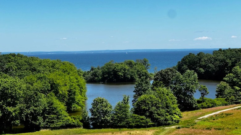 Views of a scenic pond from an overlook at Caumsett Historic State Park in New York, surrounded by greenery.