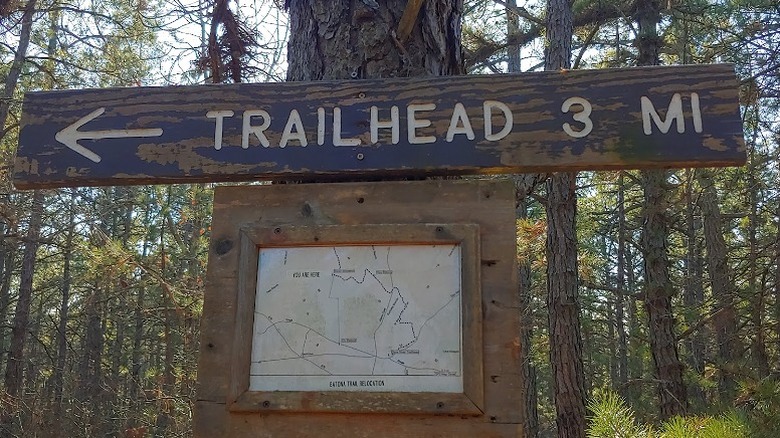 A wooden trailhead sign and hiking map attached to a tree in Bass River State Forest