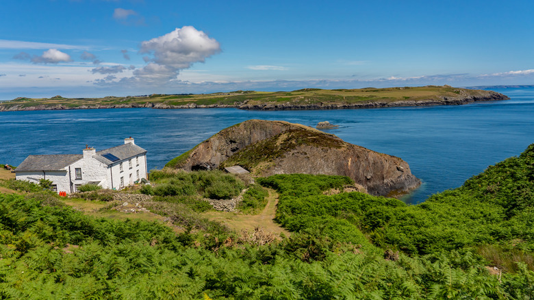 A white farmhouse and cafe on Ramsey Island Nature Reserve, on the coast of the St. David's Peninsula in Pembrokeshire, Wales