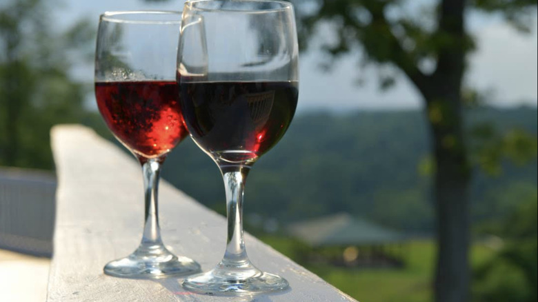Two glasses of red wine in front of a country setting at Georgetown Vineyards