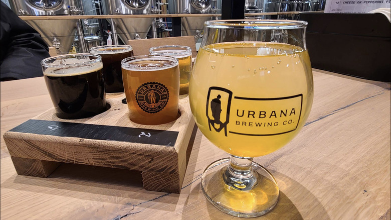 A flight of beer at Urbana Brewing Co.