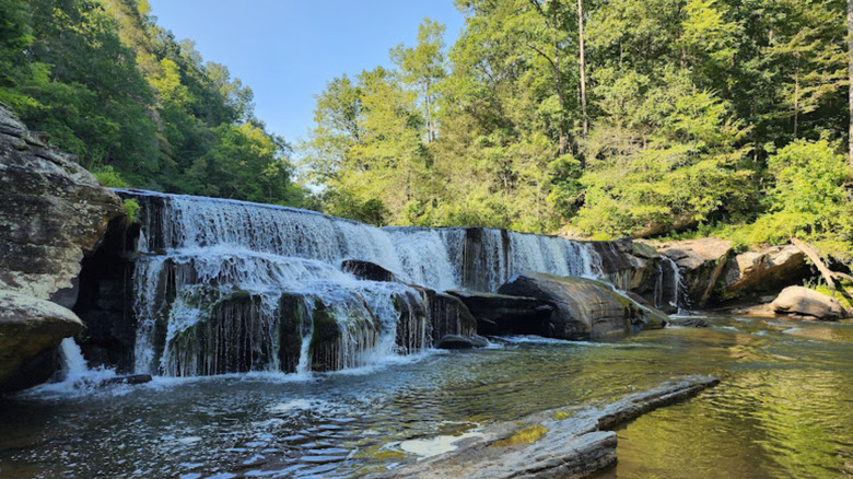 A waterfall surrounded by greenery at Francis Marion & Sumter National Forests in South Carolina
