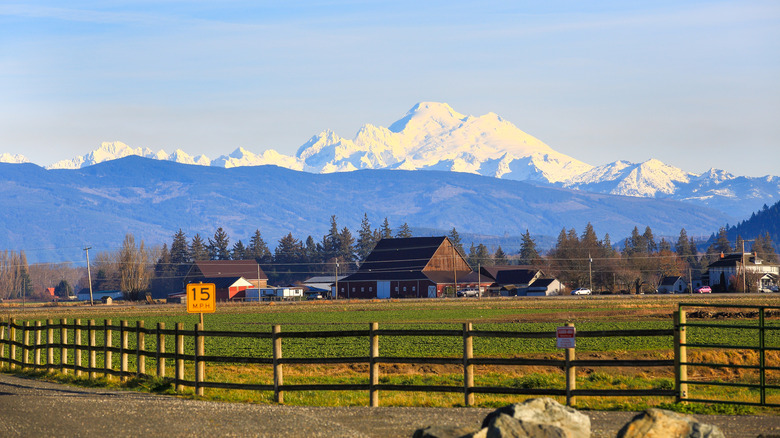 A view of snowy Mount Baker from Skagit Valley near Sedro-Wooley in Washington state