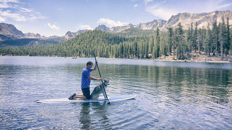 A man paddles with his husky on a SUP board in Mammoth Lake, California