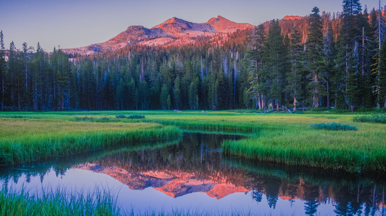 A serene early-morning scene in the mountains near Lake Tahoe, Sierra Nevada, California